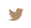 Twittericon contact us